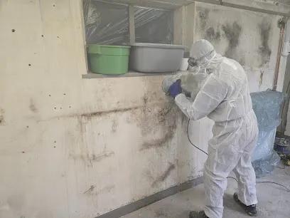 Image de Meereen Habitat SARL- Traitement définitif de l'humidité - -