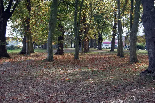 Prix Isolation Extérieure Prix isolation extérieure Idron