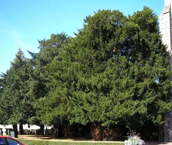 Prix Isolation Extérieure Prix isolation extérieure La Lande-Patry